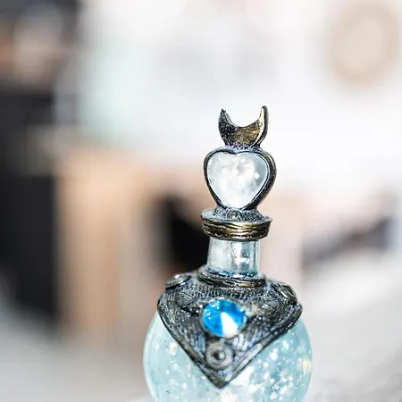 Appartement Des Sorcieres - Witches *